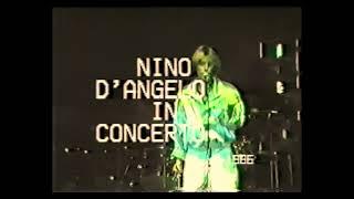 Concerto di Nino DAngelo