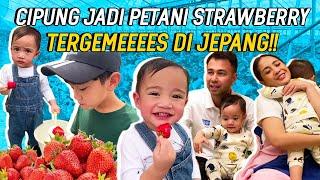 CIPUNG RAFATHAR BELI KEBUN STRAWBERRY DI JEPANG??NCUS RINI & LALA SHOCK COBAIN STRAWBERRY JEPANG..