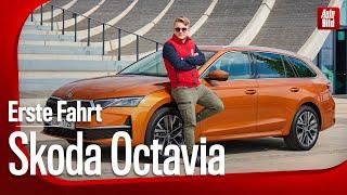 Skoda Octavia Facelift 2024 Erste Fahrt