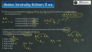 เฉลยข้อสอบ 9วิชาสามัญ ปี 64 ข้อ 37  multiple alleles