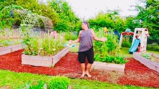 The Git Up Dance Challenge  Blanco Brown  Challenge To The Homesteaders