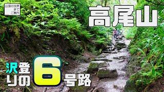 【登山】高尾山 -沢登りの６号路-
