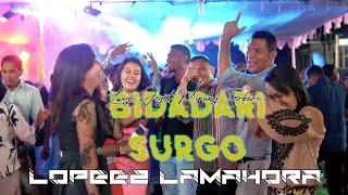 LAGU MINANG TERBARU - BIDADARI SURGO  REMIX 2021  LOPEEZ REMIX 