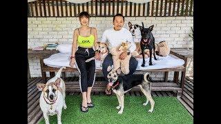 Cameron Tongs Factoria - A pets friendly getaway ft. Mier Yap