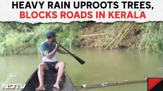 Kerala Rain  Heavy Rain Uproots Trees Blocks Roads In Keralas Pathanamthitta