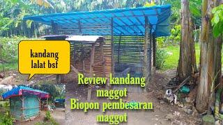 BIOPON PEMBESARAN MAGGOT Part#2