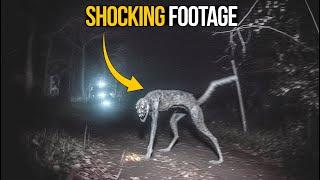 Trail Cam Footage THEY Tried To Delete