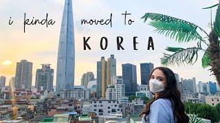  i quit my big girl job to learn korean  no seriously