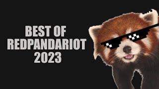 Best of RedPandaRiot 2023 Destiny 2 meme compilation