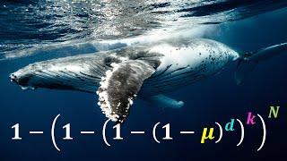 Why dont whales get more cancer? - Petos Paradox