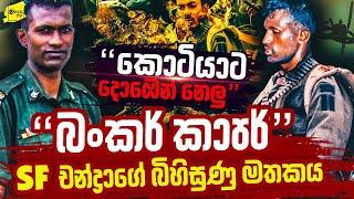 කොටියාට දොඹෙන් නෙලූ බංකර් කාපර් SF චන්ද්‍රාගේ බිහිසුණු මතකය  WANESA TV