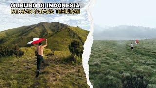 7 GUNUNG DI INDONESIA DENGAN SABANA TERINDAH