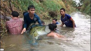 wow funny Fishing strange - ​​​​​wow Amazing Fishing weird​​​​​ in the cambodia part 151