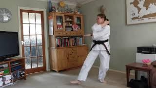 Heian Nidan kata lesson