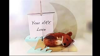 Love Is Official Lyric Video by Martyna Wren