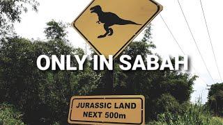  I DISCOVERED DINOSAUR ROAD SIGN ▪︎JURASSIC LAND KIULU BORNEO  ■ 沙巴有恐龙园真的 JURASSIC Park SABAH