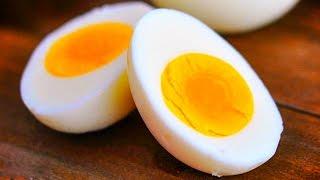 THE BOILED EGGS DIET Lose 10 kg In 2 Weeks