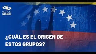 Analistas explican qué son los colectivos en Venezuela y cómo nacieron