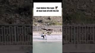   Eagle Tries To Takeoff With Man’s Son #animals #funny #PTizi