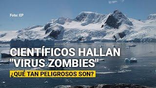 Científicos hallan virus zombies en permafrost de Siberia ¿Qué tan peligrosos son?