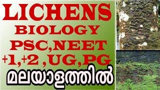 LICHENSമലയാളത്തിൽclas 11 biological classification NeetPSCHSEVHSEUGPG SHORT BIOLOGY