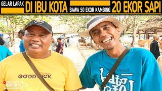 Sudah 8 Tahun  Gelar Lapak Qurban Di Ibu Kota Kang Yono Juragan Dlingo Bawa 50 Kambing 20 Sapi 