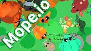 MOPE.IO НОВЫЙ МОПИО ЖИВОТНЫЙ МИР IO ИГРА Камзи 6+