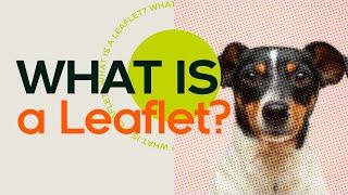 What Is a Leaflet?