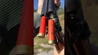 SCENT OF SHOTGUN #shorts #shotgun #gun #hunting #usa #12gauge #shot #weapon #shootingrange #ammo