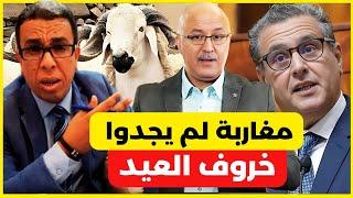 حميد المهداوي  مغاربة لم يجدوا خروف العيد