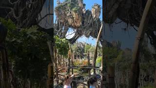 We love Pandora – The World of Avatar at Disney’s Animal Kingdom #disneyworld