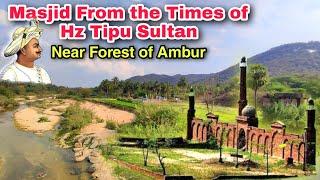 VERY OLD MOSQUE IN A FOREST NEAR AMBUR 