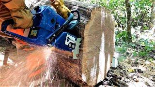 Farmertec Holzfforma G660 Chainsaw vs. BIG HARDWOOD LOG