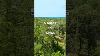 5 Acres of TEXAS Land for Sale with Power • LANDIO