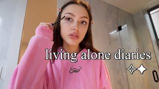 living alone diaries  a random day in my life vlog
