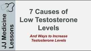 Low Testosterone Hypogonadism 7 Causes Dietary etc. and Ways to Increase Testosterone Levels