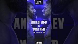 ANKALAEV VS WALKER  #ankalaev #walker #ufc #shorts #combatsports #ufcvegas84 #ufcvegas #shortvideo