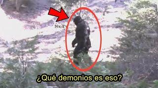 ¿Por Primera Vez el Encuentro más CERCANO con un PIE GRANDE en la Historia? Te Muestro el VÍDEO