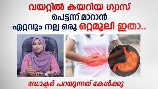 വയറ്റിൽ കയറിയ ഗ്യാസ് പെട്ടന്ന് മാറാൻ കിടിലൻ ഒറ്റ മൂലി \  Gas Maran Ottamooli  Arogyam