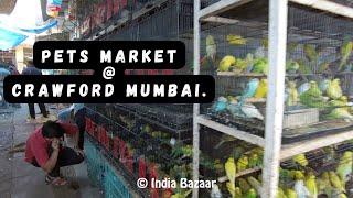 Pets Market At Crawford Market Mumbai. Exotic Birds Animals and Aquarium Shops. INDIA BAZAAR