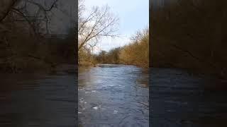 Up to Trout river River Dove