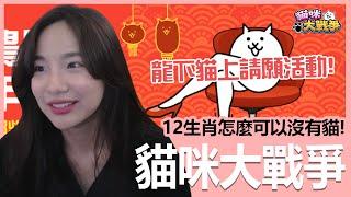 《貓咪大戰爭》12生肖怎麼可以少了貓！讓我們一起連署龍下貓上吧！｜貝莉莓