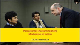 Paracetamol Acetaminophen Mechanism of Action