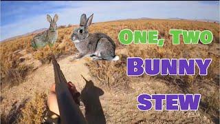 Epic Rabbit Hunting with .410 Shotgun & Making Rabbit Stew