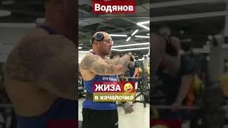 ЗАЛЬНАЯ ЖИЗА  Водянов Голубочкин... #shorts #спорт #фитнес