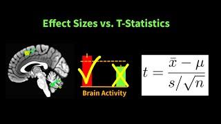 Reporting Effect Sizes vs. T-Statistics in Neuroimaging