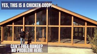 See Our Largest Chicken Coop  Cant Free Range? No Problem This Coop Has it All