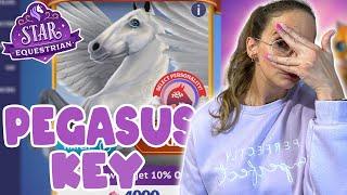 Wir öffnen eine Pegasus-Box  Star Equestrian PC