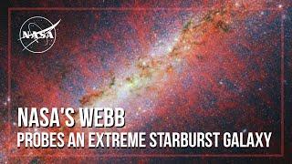 NASAs Webb Probes an Extreme Starburst Galaxy