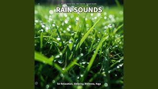 Fabulous Rain Sound FX